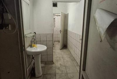 Spatii depozitare /productie Linia de Centura Leordeni-Glina - 16