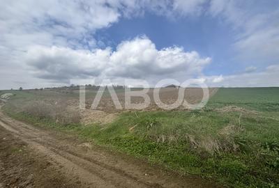 Teren intravilan de vanzare 4600mp deschidere 37m in Sura Mare Sibiu - 2