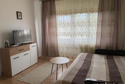 De inchiriat garsoniera in zona Calea Buziasului - 1