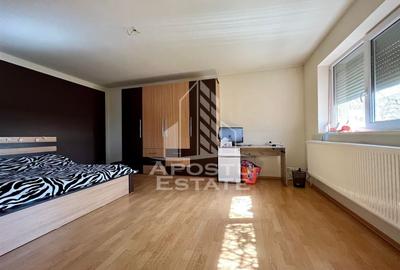 Vila individuala cu 5 camere zona Ronat - 20