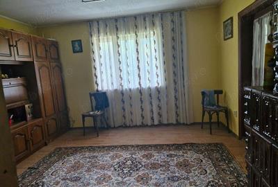 Casa de vanzare comuna ileana Casa de vanzare comuna ileana - 8