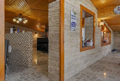 Comision 0% 2 case Vila + Spatiu Comercial + Curte Proprie - 29