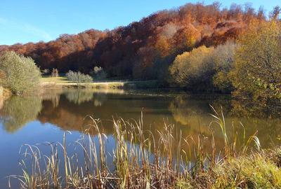 Spațiu comercial, în Izvoarele - 1