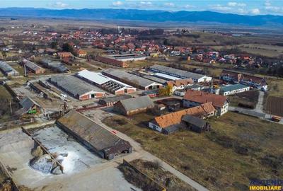 Spațiu comercial, de 9,000 mp, în Central - 17