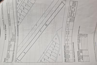 Teren de 5000 mp, în Central - 2