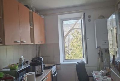 Apartament cu 2 camere decomandat în Exterior Sud - 2