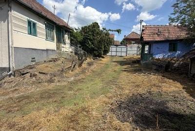 Casă cu 3 camere cu Teren 29000 Mp în Central - 4