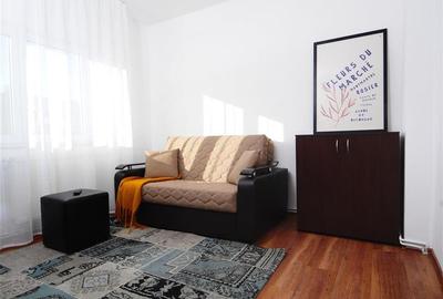 Apartament spatios 3 camere Centrul Civic Pet Friendly - 14