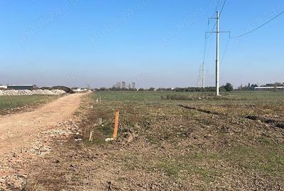 Teren de 9500 mp, în Sud - 1