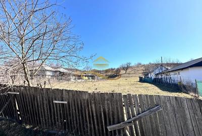 Teren Construcții intravilan de 2880 mp, în Luncani - 4