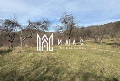 Teren  extravilan I 5300 mpI  Salatrucel -Calimanesti - 1