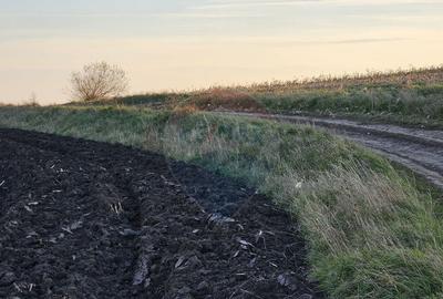 Teren extravilan 30077mp Stroiesti / Soseaua DN17, Suceava - 6