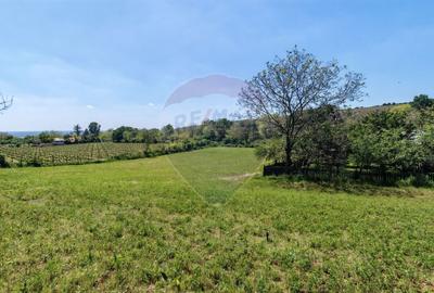 Teren Construcții intravilan de 3864 mp, în Central - 3