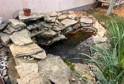 Casă cu 6 camere cu Teren 385 Mp în Ciorogârla - 4