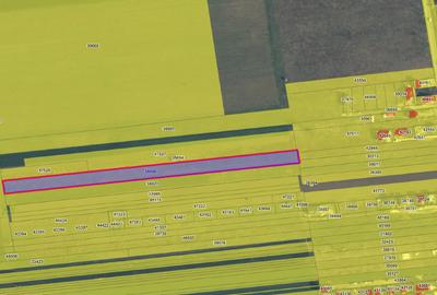 Teren Construcții intravilan de 8000 mp, în Șimnicu de Sus - 1