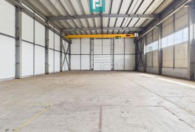 Hală industrială cu pod rulant de 3 tone în Arad - 2