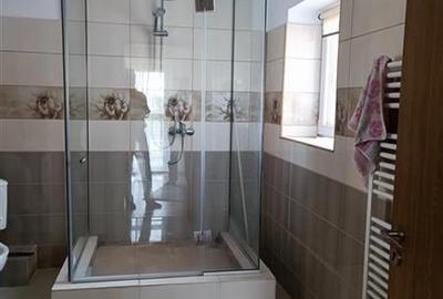 Casa Vila Titan Nicolae Grigorescu - 18