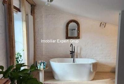 Dacia-Vasile Lascar - 7