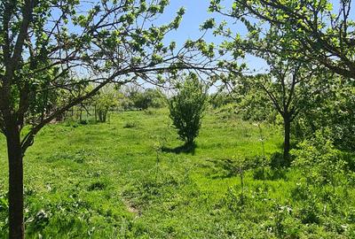 Casa si teren Floresti-Stoenesti,acces A1 - 8