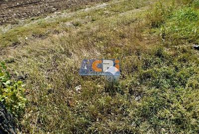 Teren iesire din Nicolae Balcescu, la 200ml de E85 Bacau - 2