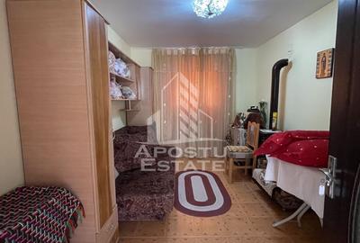 Casa renovata Berecuta comuna Birda asfalt - 3