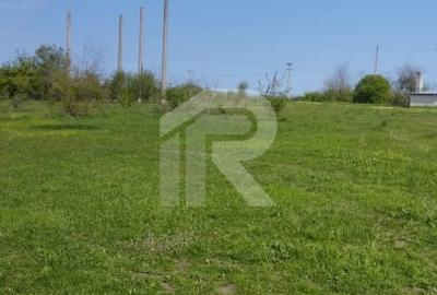 Teren Construcții intravilan de 10000 mp, în Grădiștea - 15