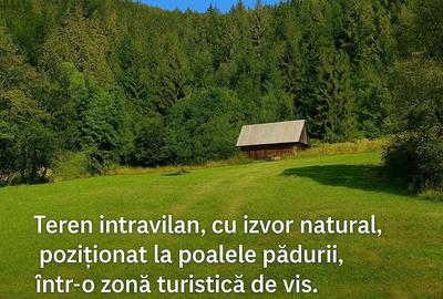 Spațiu comercial, în Câmpeni - 5