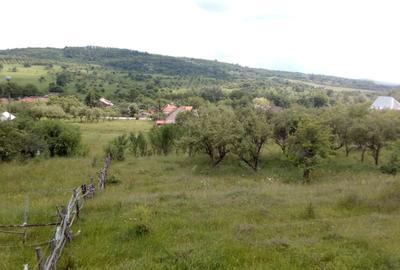 Teren de 25000 mp, în Central