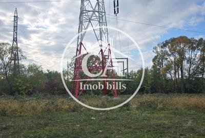 Teren de 150000 mp, în Oncea - 2