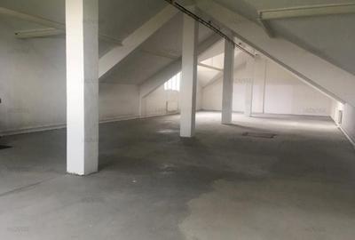 SPATIU  PRODUCTIE USOARA/CAL. GRIVITEI - 4