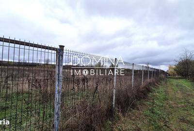 Spațiu comercial, în Curtișoara - 4