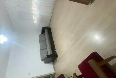 Apartament cu 2 camere decomandat în Nufărul - 3