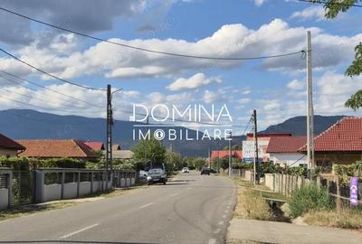 Casă cu 5 camere cu Teren 4334 Mp în Runcu - 2