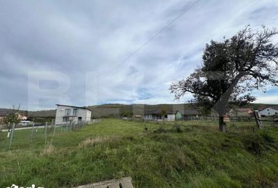 Teren de 2400 mp, în Cetate - 4