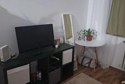 Garsoniera de inchiriat. Inchiriez gatsoniera recent renovata, zona far-camin UMC - 1