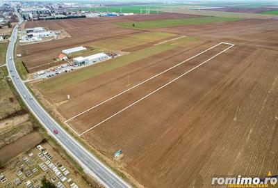 FILM! Teren intravilan 7.850 mp, Chilieni, Sfantu Gheorghe - 3