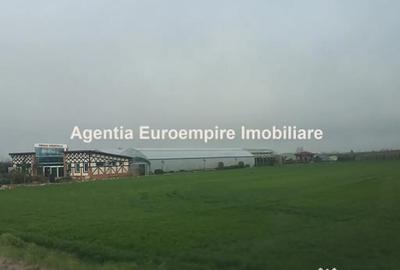 Teren de 25000 mp, în Agigea - 3