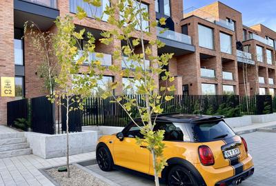 Casă cu 3 camere cu Teren 160 Mp în Tunari - 5