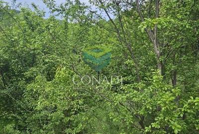 Teren de 800 mp, în Central - 2