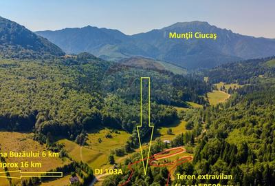 Teren de 8500 mp, în Dălghiu - 1