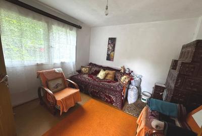 Casă individuală cu 4 camere cu Garaj în Bordenii Mari - 8