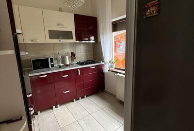 Casă cu 4 camere cu Teren 386 Mp în Valea Borcutului - 11