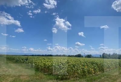 Teren de 45800 mp, în Moacșa - 2