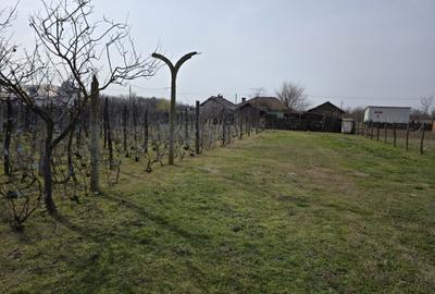 Casă cu 3 camere în Soreni - 1