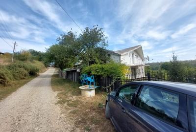 PROPRIETATE SUPERBA IN BIBIRESTI - 3