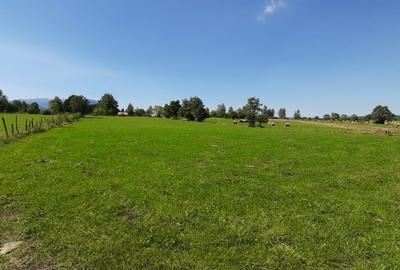 Teren de 9350 mp, în Exterior Vest - 1