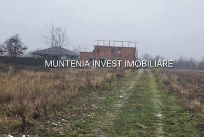 Teren de 935 mp, în Moșoaia - 2