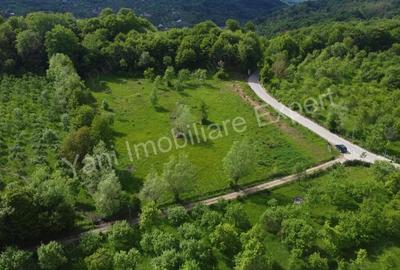 Teren de 8387 mp, în Corbi - 13