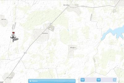 Teren de 16600 mp, în Topraisar - 2