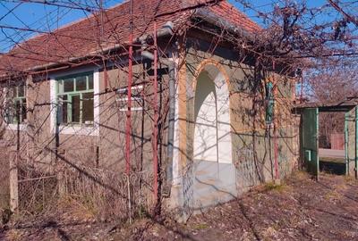 Casă în Săldăbagiu Mic - 2